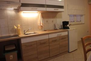 Kuchyň nebo kuchyňský kout v ubytování Apartment Marko