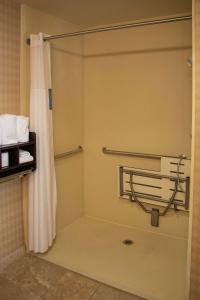 uma cabina de duche num quarto de hotel com uma cortina de chuveiro em Hampton Inn & Suites-Knoxville/North I-75 em Knoxville