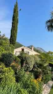 a house in a garden with flowers and trees at Mountains Villa near Budva in Budva