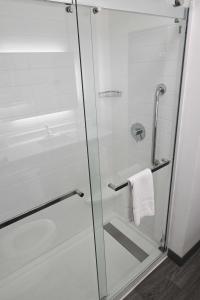 a shower with a glass door in a bathroom at Hampton Inn Valdosta/Lake Park Area in Lake Park
