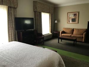 a hotel room with a bed and a couch and a television at Hampton Inn Vidalia in Vidalia