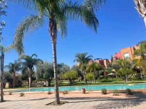 una palmera frente a una piscina en Résidence Le Vizir Center Rez de jardin, en Marrakech