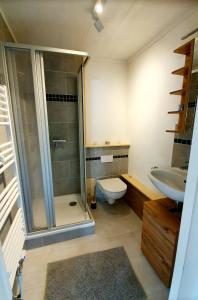 a bathroom with a shower and a toilet and a sink at Stationshuset Dalarna Apartments in Sörsjön