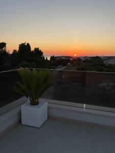 une plante sur un balcon avec un coucher de soleil en arrière-plan dans l'établissement Seaside residence - Sunset Appartement, à Kožino