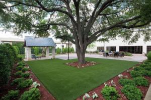 um relvado verde com uma árvore num quintal em Hilton Waco em Waco