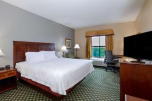 Habitación de hotel con cama y TV de pantalla plana. en Hampton Inn Lawrenceville Duluth en Lawrenceville