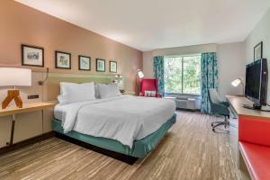 a hotel room with a bed and a desk and a television at Hilton Garden Inn Atlanta Northeast/Gwinnett Sugarloaf in Duluth