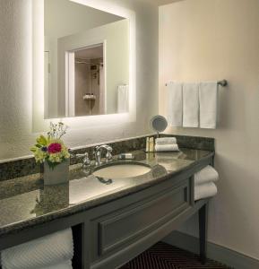 a bathroom with a sink and a mirror and towels at DoubleTree by Hilton Austin in Austin