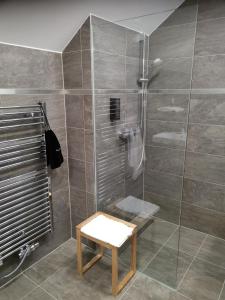 y baño con ducha y mesa. en Apartmány Benedicta, en Benešov