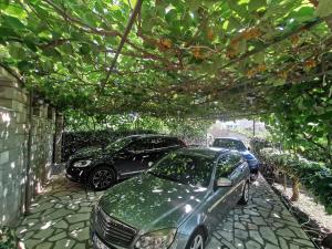 two cars parked under a pergola at Bar-Apartman 2 in Bar