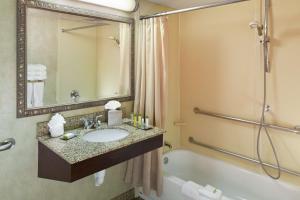 DoubleTree by Hilton Boston-Milford的一间浴室