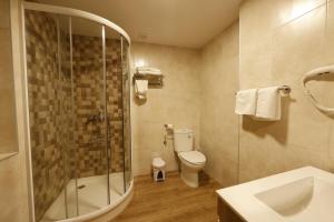 a bathroom with a shower and a toilet and a sink at LUZ DE PRADA in Puebla de Sanabria