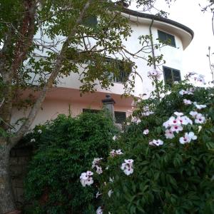 Zahrada ubytování B&B Bene Bennios IUN F1441