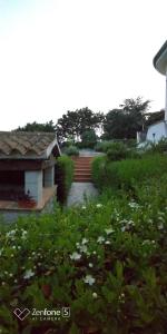 Zahrada ubytování B&B Bene Bennios IUN F1441
