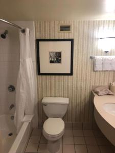 a bathroom with a toilet and a tub and a sink at Hilton Garden Inn Addison in Addison