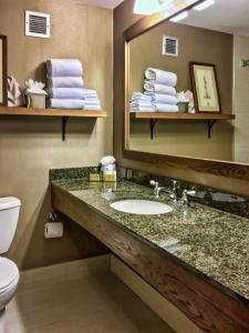 a bathroom with a sink and a mirror and towels at DoubleTree by Hilton Libertyville-Mundelein in Mundelein