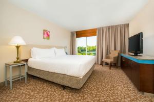 um quarto de hotel com uma cama e uma televisão em Hilton Garden Inn Charlottesville em Charlottesville