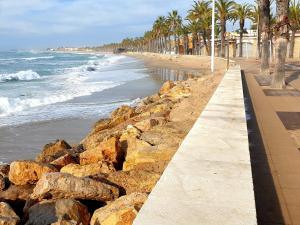 a beach with rocks and palm trees and the ocean at Suitur beachfront apartment Roc de Sant Gaietà in Roda de Bará