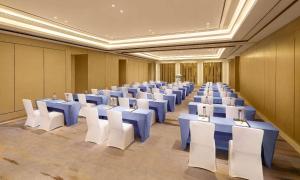 株洲大汉希尔顿酒店商务区和/或会议室