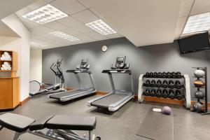 a gym with treadmills and a row of exercise machines at Hilton Garden Inn Tysons Corner in Tysons Corner