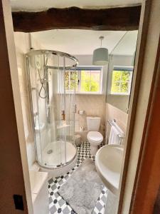 a bathroom with a shower and a toilet and a sink at The Snuggery Cottage in Taunton