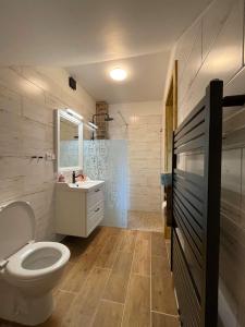 La salle de bains est pourvue de toilettes et d'un lavabo. dans l'établissement Apartmány Močovice, 