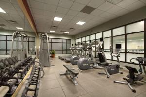 a gym with rows of treadmills and cardio machines at Embassy Suites by Hilton Denver International Airport in Denver