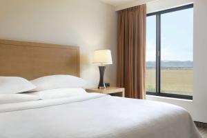 a bedroom with a bed and a large window at Embassy Suites by Hilton Denver International Airport in Denver