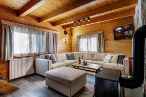 a living room with a couch and a table at Private summer house with swimming pool, beach bar and pit for football and volleyball in Hvězdonice