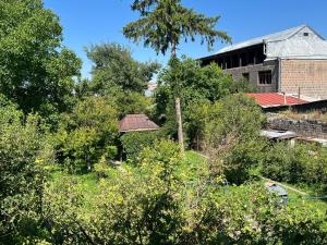 Zahrada ubytování Papoyan Guest House