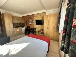 Un televizor și/sau centru de divertisment la Nana S44 Milmari Spa&Wellness