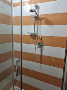eine Dusche im Bad mit braunen und weißen Streifen in der Unterkunft Casa Relax Cupello in Cupello