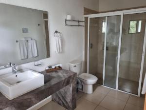 La salle de bains est pourvue d'un lavabo, de toilettes et d'une douche. dans l'établissement Hotel La Ribereña, à Ajijic