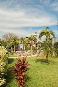 a yard with two palm trees and a building at Portal Da Mata in Santa Fé do Sul