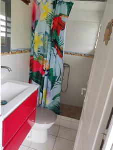 Un baño con inodoro y cortina de ducha. en Studio de vacance ou pro le gosier, en Le Gosier 5 fotos más