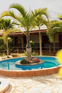 a palm tree in a pool in front of a house at Portal Da Mata in Santa Fé do Sul