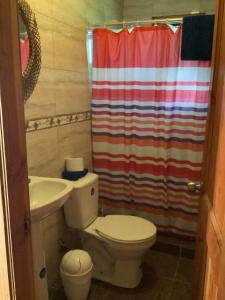 a bathroom with a toilet and a shower curtain at Cabañas Amatista Neltume in Neltume