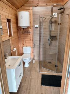 ein Bad mit einer Dusche und einem WC in der Unterkunft Domek na Mazurach 