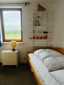 sypialnia z łóżkiem, oknem i półkami w obiekcie Seaview, Beach, Sunsets, Nature w mieście Heiligenhafen