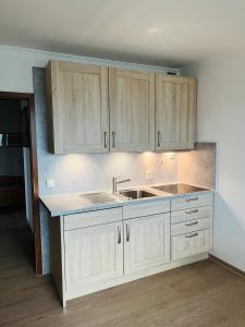 a kitchen with wooden cabinets and a sink at Seaview, Beach, Sunsets, Nature in Heiligenhafen