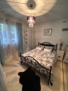 a bedroom with a bed and a black cat sitting on the floor at VILLA avec PISCINE PRIVÉE NON PARTAGÉE in Camps-la-Source +21 photos