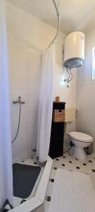 baño con ducha, aseo y luz en Apartment Bosiljak, en Jelsa