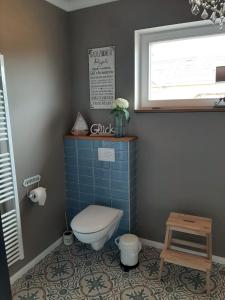a bathroom with a toilet and a window at Landliebe, Luxus-Ferienhaus, 3 Schlafzimmer mit Sauna und Outdoor Whirlpool in Geierswalde