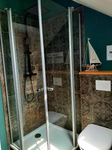 a bathroom with a shower with a toilet at Landliebe, Luxus-Ferienhaus, 3 Schlafzimmer mit Sauna und Outdoor Whirlpool in Geierswalde