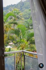 a view of a palm tree from a window at Royal Residency in Kandy
