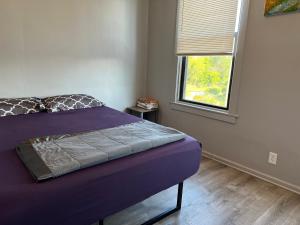 1 dormitorio con cama morada y ventana en Ethan 3 rooms, en Chicago