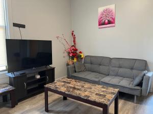 uma sala de estar com um sofá e uma televisão em Ethan 3 rooms em Chicago