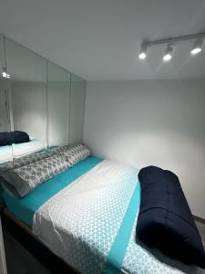 馬德里的住宿－La Chambre de Boris，一间卧室配有一张带玻璃天篷的床