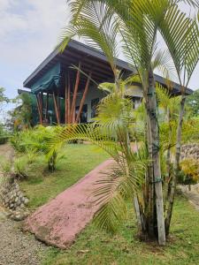 uma casa com uma palmeira em frente em Eden Tica Lodge em Uvita