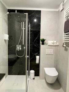 a bathroom with a glass shower and a toilet at K&M Apartament Panorama in Bochnia